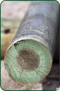 Опора деревянная для ЛЭП пропитанная 6,0м 6 5 м 8 5 м 9,5 м 11 м366143